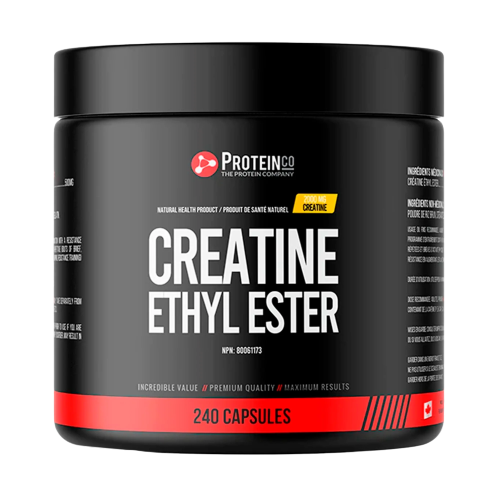 Kreatin Etil Ester