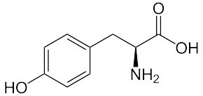 Tirozin Aminokiselina