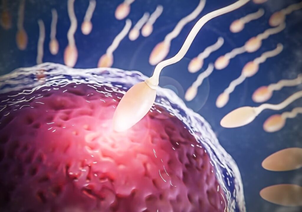 Akupunktura i Fertilitet