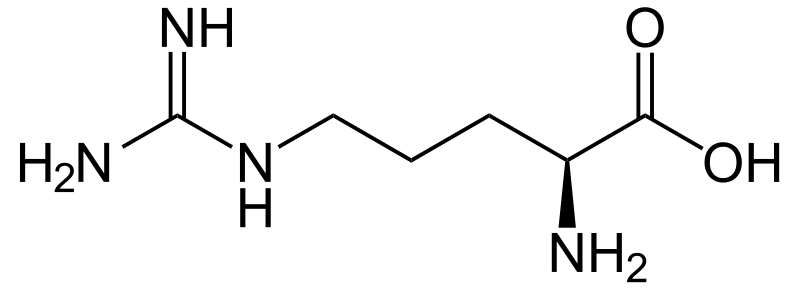 Ariginin