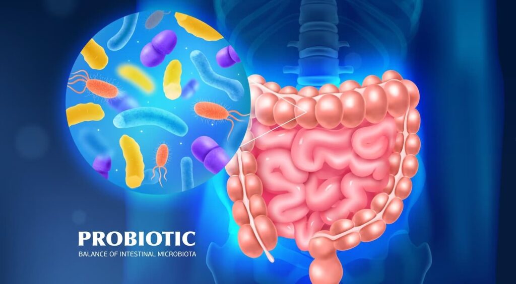 Kako odabrati pravi probiotik