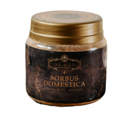 Sorbus Domestica