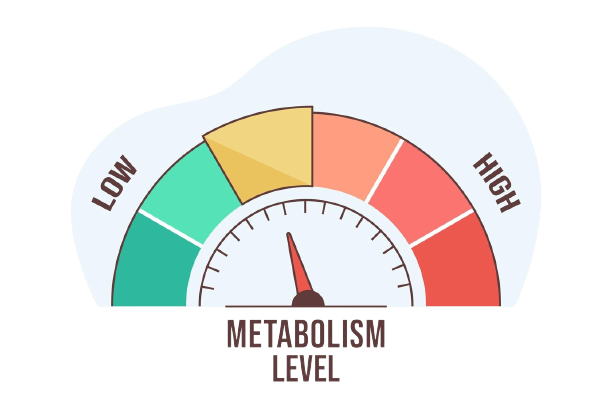 Metabolički procesi i zdravlje