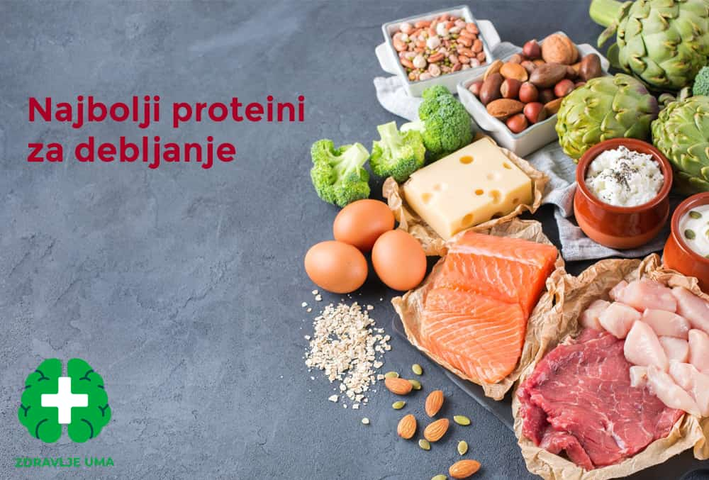 Najbolji Proteini za debljanje, izvori i savjeti